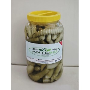 ACUR TURŞUSU , 1 BİDON ( 3 KĞ) , 349